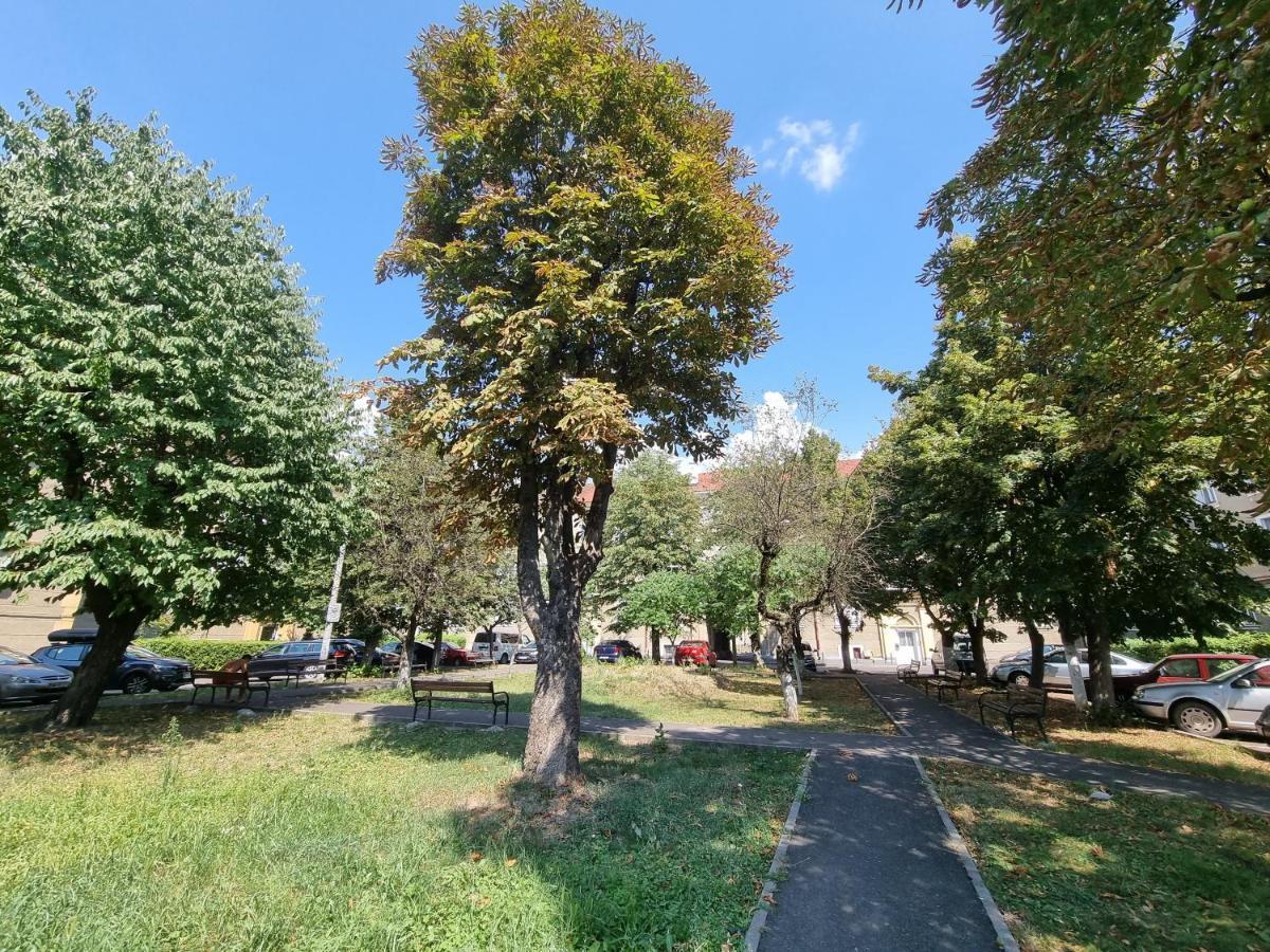 Ultra-Central 1 Bed Apartment, Str Nicolae Iorga Baia Mare Luaran gambar