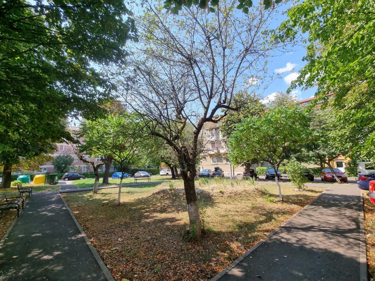 Ultra-Central 1 Bed Apartment, Str Nicolae Iorga Baia Mare Luaran gambar